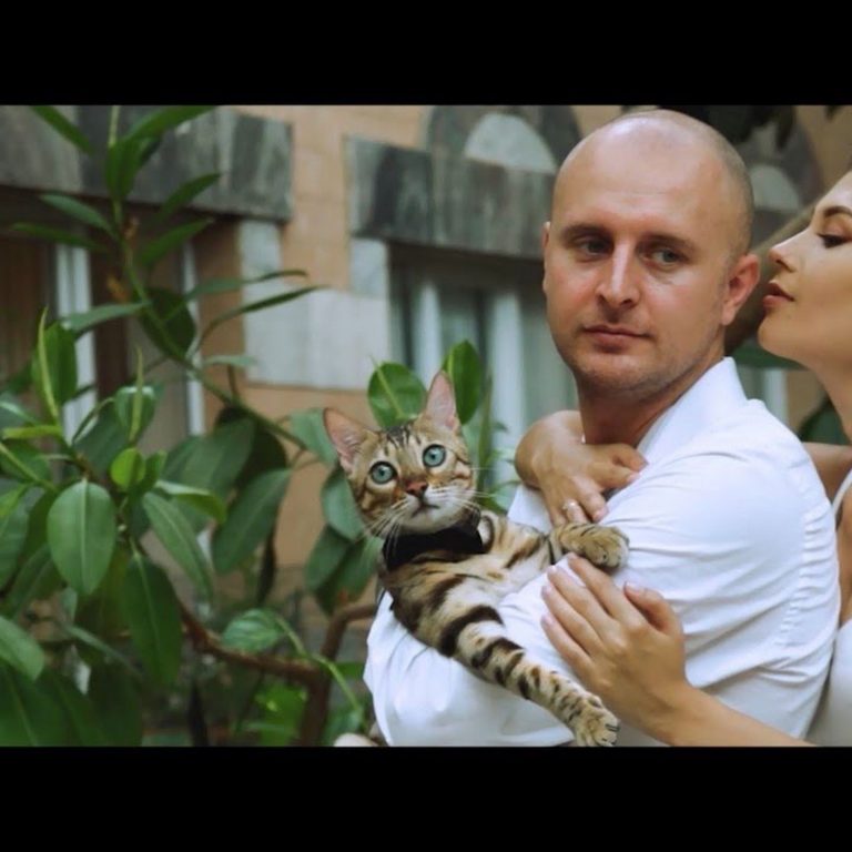 Аватар профілю Артур Курсенко