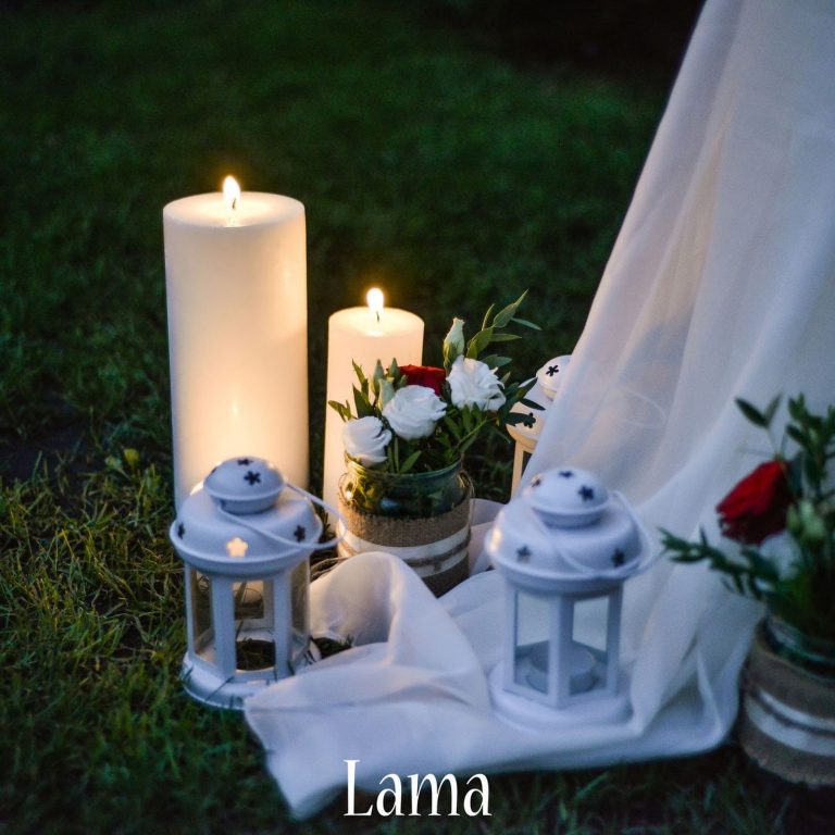 Фото 4 — Lama, весільна компанія у місті Київ